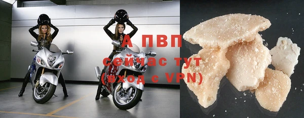 первитин Богданович
