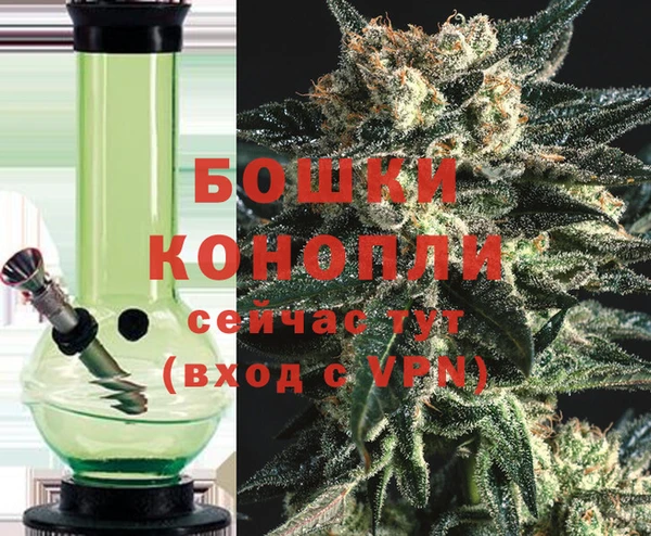 сатива Богородск